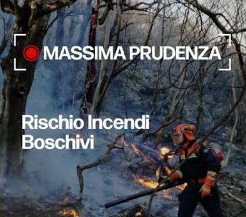 Immagine: Immagine 2026-08-11 123301