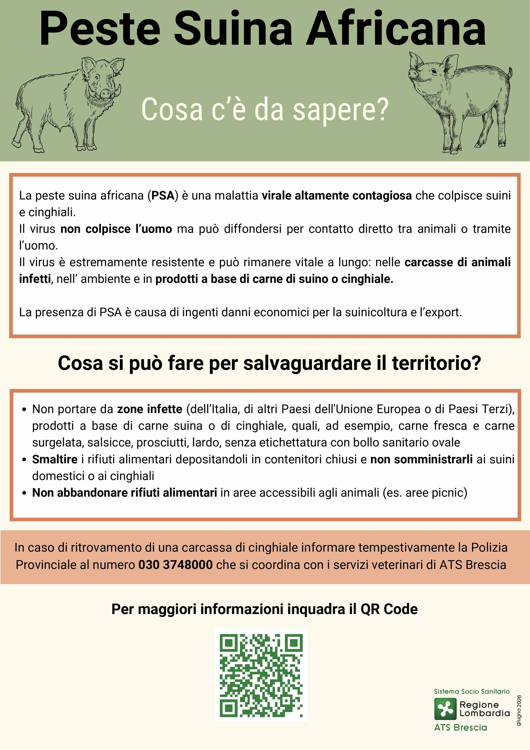 Immagine: Locandina peste suina 2026_page-0001